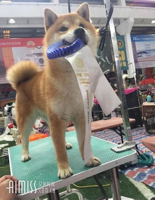 \