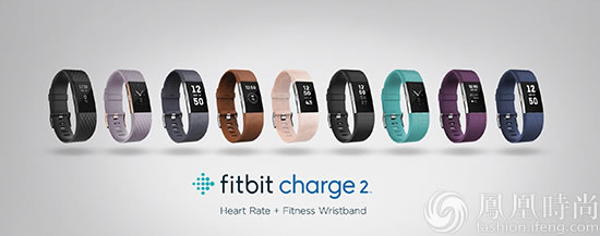 FitbitȫƳFitbitCharge2FitbitFlex2