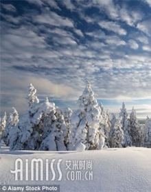 北芬兰冬季旅游胜地动人极光下许愿